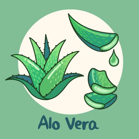 aloe.pk